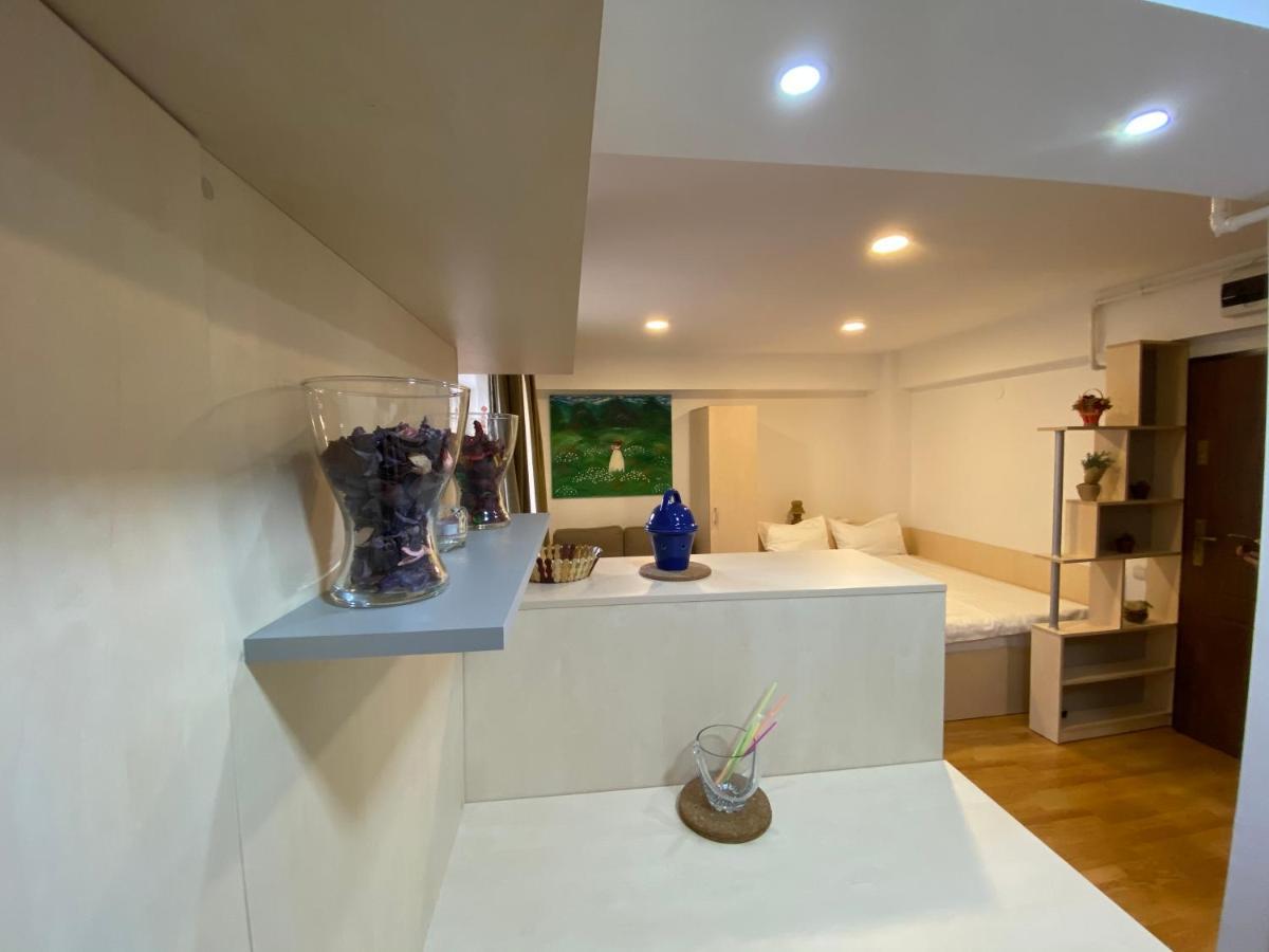 Sinaia Chic Minisuite Mirage-Self Check-In&Free Parking Exterior foto